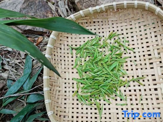 Ханчжоу: Lin'an Mishuyou Mountain Home stay (the Taihu Lake Lake Source Scenic Spot Store)