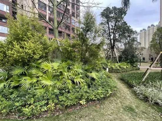 Фанчэнган: Fangchenggangdu Shibeiyuan Homestay