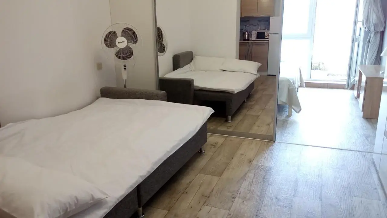 Красная Поляна: Apartment Triumph с видом на море