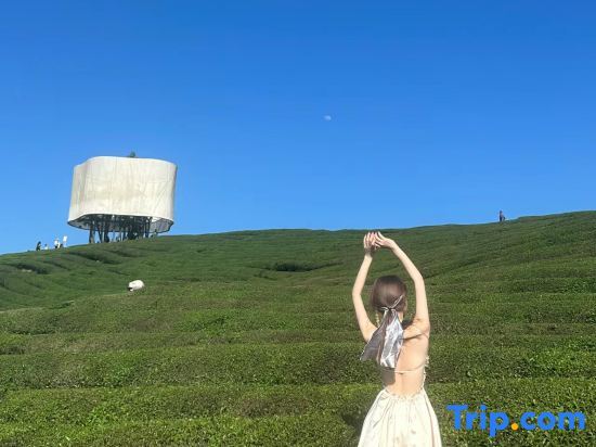 Дали: Dali Xingshan Yimu Countryside Landscape Homestay (Majiuyi)