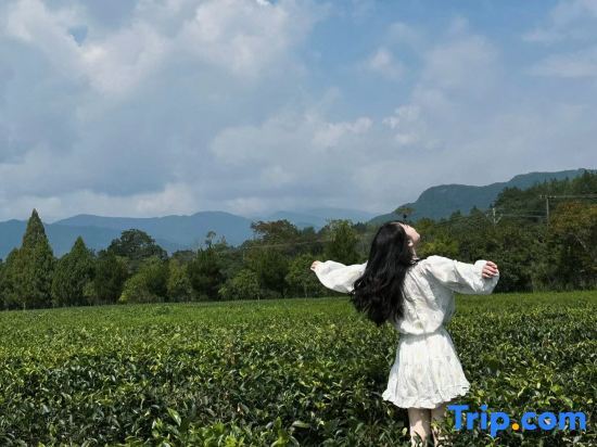 Дали: Dali Xingshan Yimu Countryside Landscape Homestay (Majiuyi)