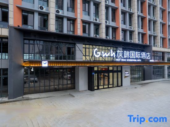 Баодин: Gray Whale International Hotel (Longquan Branch)