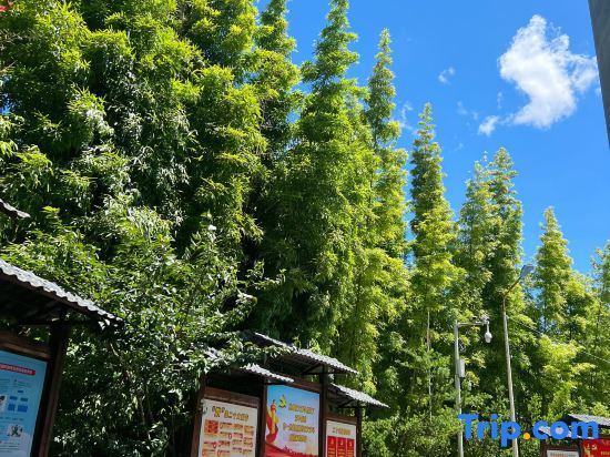 Нинджи: Pingnan Warm House Homestay