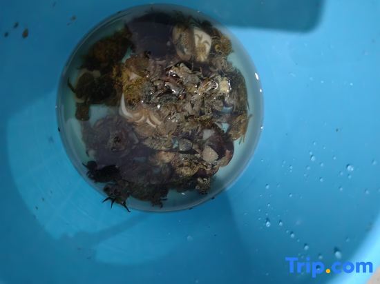 Фучжоу: Pingtan Youmi Inn
