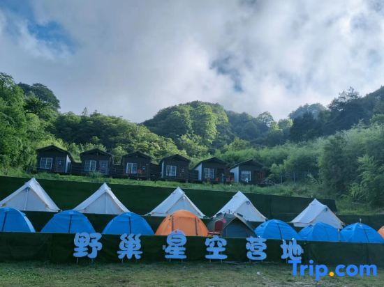 Dawei Mountain Wild Nest Starry Sky Camp — фото 1