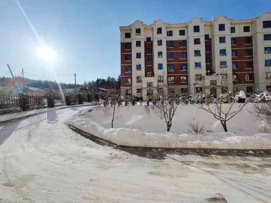 Ичунь Хэйлунцзян: Youth Apartments (Bilberry Manor, Yichun)