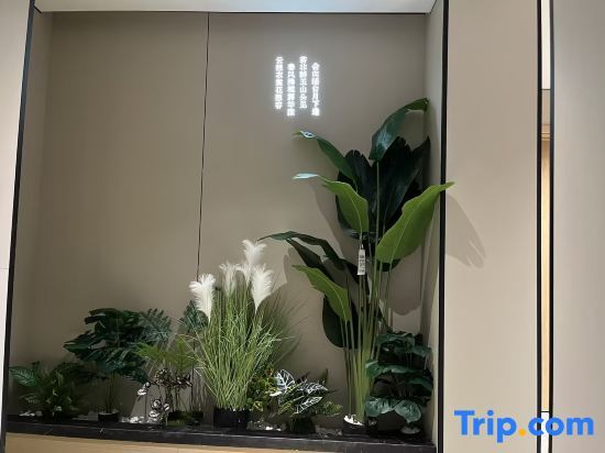 Шиянь: Zhushan Triumph Light Luxury Hotel