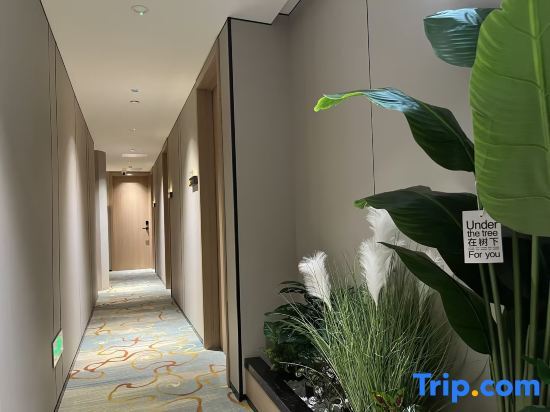 Шиянь: Zhushan Triumph Light Luxury Hotel
