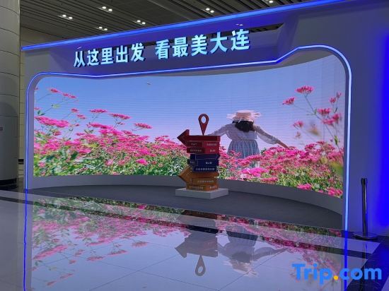 Далянь: Yaxuan Homestay