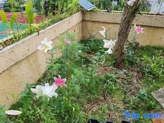 Шанграо: Sanqingshan Yinhu Xiaozhu Homestay