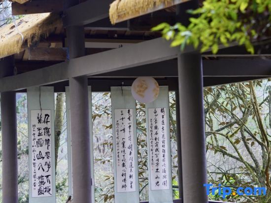 Чэнду: Jingshan Zhidu Forest Hot Spring B&B (Qingcheng Back Mountain Scenic Area Branch)