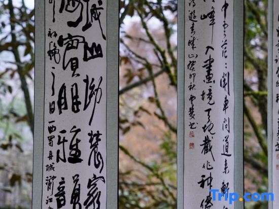 Jingshan Zhidu Forest Hot Spring B&B (Qingcheng Back Mountain Scenic Area Branch) — фото 1