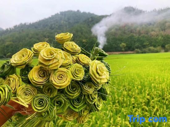 Тайчжоу: Tiantai Shanqing Homestay