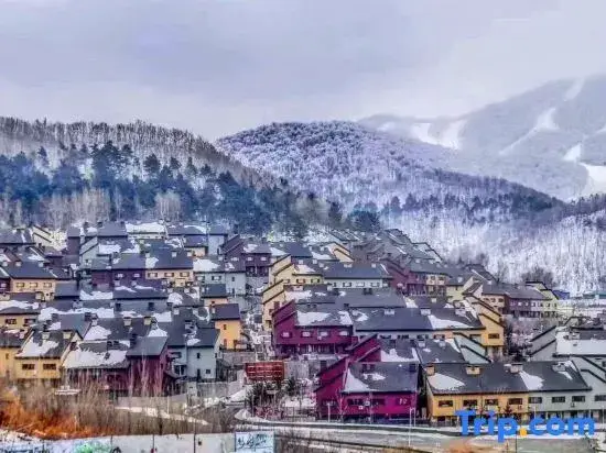 Цзилинь: Vanke Songhua Lake Xueer Homestay