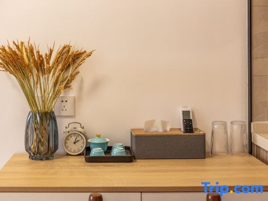 Шэньчжэнь: Brooke Apartment (Guangmingzheng Dacheng)