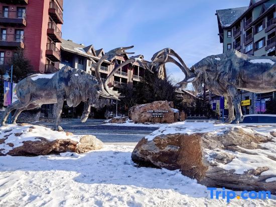 Цзилинь: N+ Mountain Villa