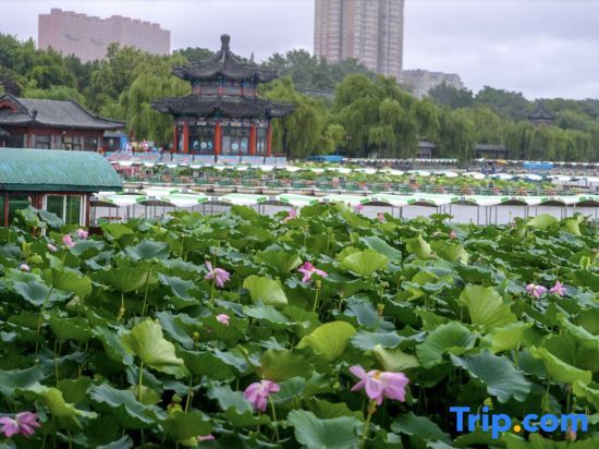Цзинань: Zhefei Hotel Jinan Shandong International Convention and Exhibition Center Store
