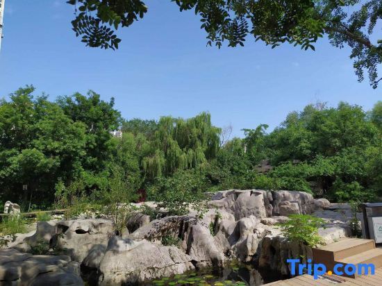 Цзинань: Zhefei Hotel Jinan Shandong International Convention and Exhibition Center Store
