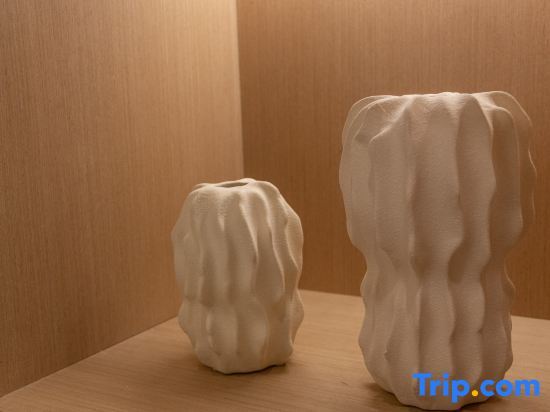 Ханчжоу: Ibis Styles Hotel Hangzhou Binjiang Baolongcheng Branch