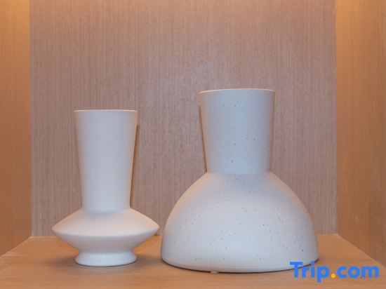Ханчжоу: Ibis Styles Hotel Hangzhou Binjiang Baolongcheng Branch