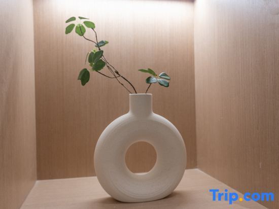 Ханчжоу: Ibis Styles Hotel Hangzhou Binjiang Baolongcheng Branch