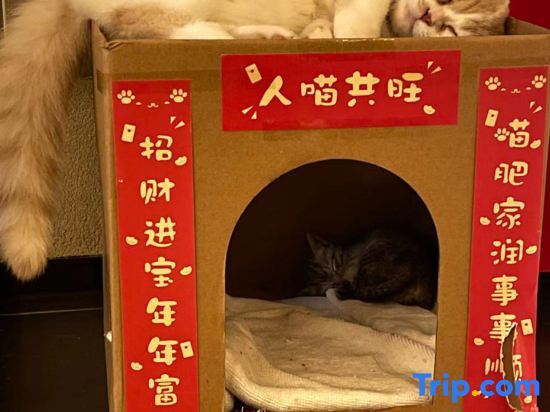 Наньчан: Mengya LOFT Cinema Apartment (Xinli Yinhuwan Branch)