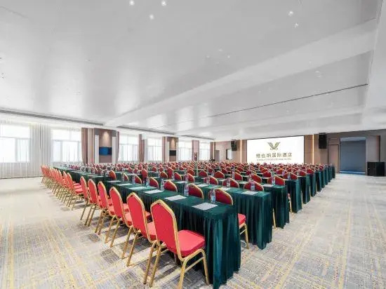 Шицзячжуан: Vienna International Hotel (Zhaoxian Yifangcheng)