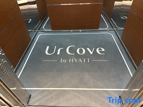 Фошань: UrCove by Hyatt Foshan Downtown