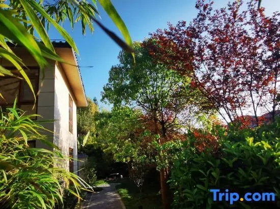 Ичунь: Wentangzhen Jundi Life Boutique Inn