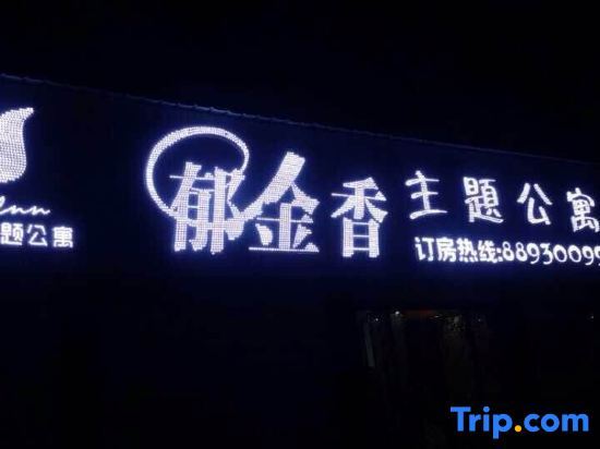 Чанша: Liuyang Tulip Theme Apartment