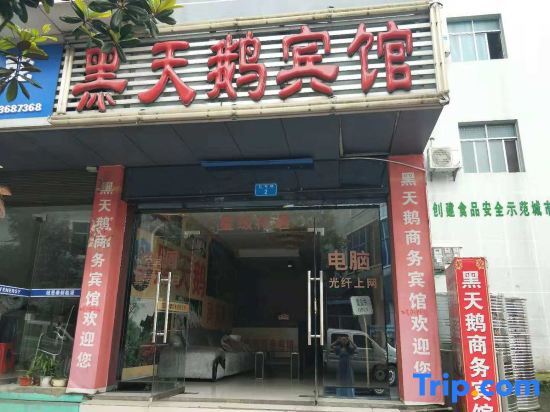 Xiangyang Black Swan Business Hotel — фото 1