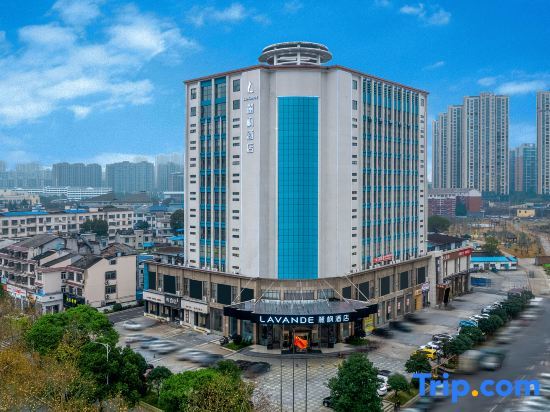 Lifeng Hotel, Changsha Ningxiang Municipal Government Branch — фото 1
