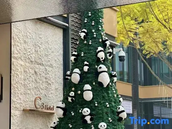 Чэнду: Chengdu C3 Hotel (Tianfu Art Park)