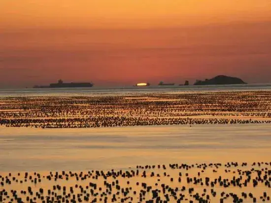 Чжоушань: Shengsi medlar island juyuange fisherman's hostel