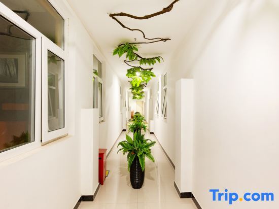 Шицзячжуан: 7 Days Premium Hotel (Shijiazhuang Jianhua South Street South Second Ring Road)