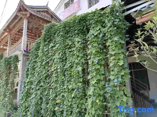Liuyang Zhouluolongyazhai Farm — фото 1