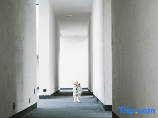 Хучжоу: Tingjian Mount Mogan luxury design hostel