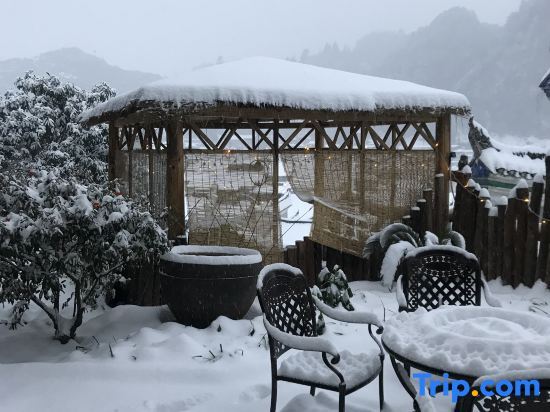 Сянси: Phoenix Xinsu Light Luxury Courtyard Homestay (Hongqiao Branch)