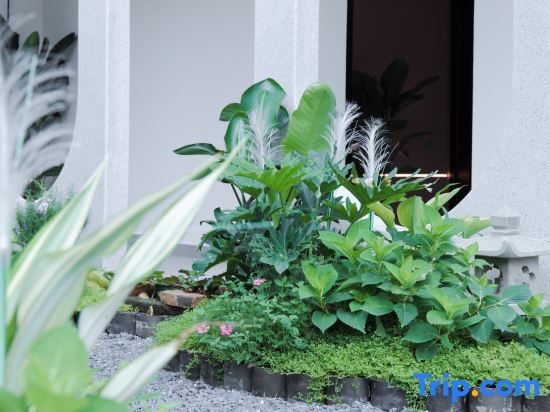 Чэнду: Qingcheng Mountain Nanke Yimeng Private Tang Homestay