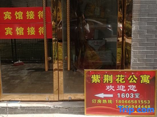 Xi'an Bauhinia Apartment — фото 1