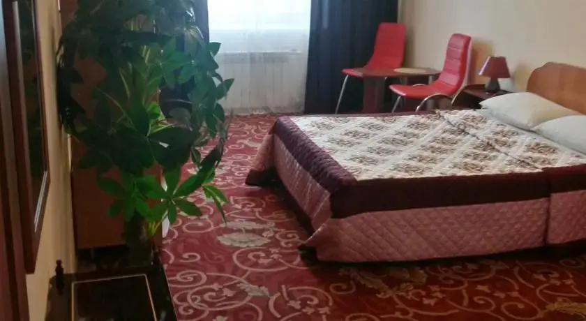 Благовещенск: Астера