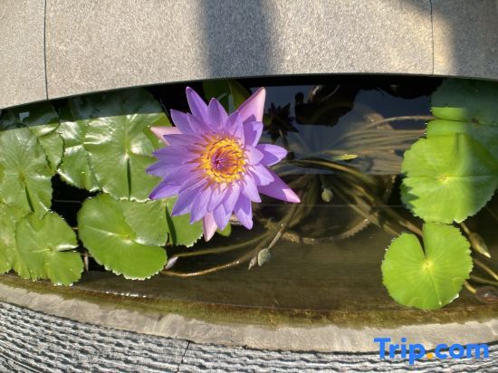 Янчжоу: Qijiantang Slender West Lake Scenic Area Resort Hotel (Yudi Museum)