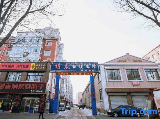 Harbin Xinxulong Business Hotel (Government Grand Plaza) — фото 1
