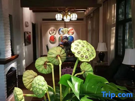 Чунцин: Nanlu Hostel