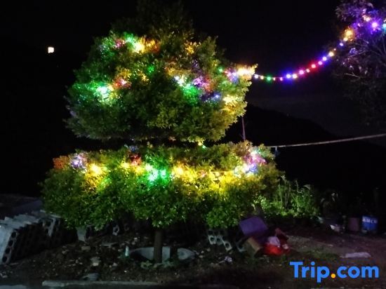 Хэнъян: Hengshan Palm Tree Garden Self-operated Homestay (Central Scenic Area)