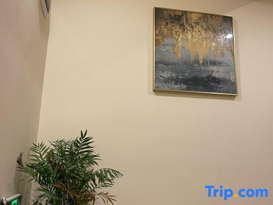 Чунцин: Chongqing Jiudeng Boutique Hotel
