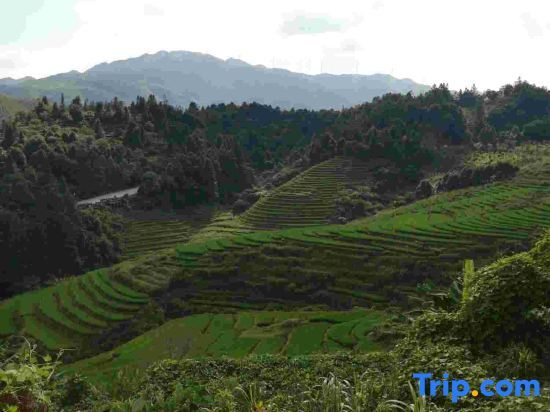 Жангжоу: Nanjing Tulou Wenchanglou Homestay