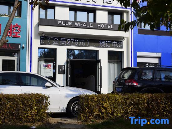 Чанчунь: Blue Whale Hotel