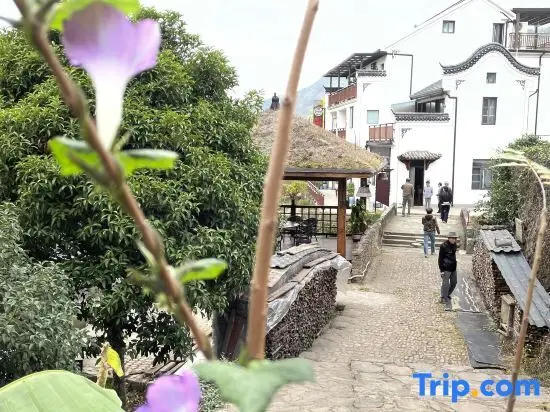 Ханчжоу: Linshuitai Homestay