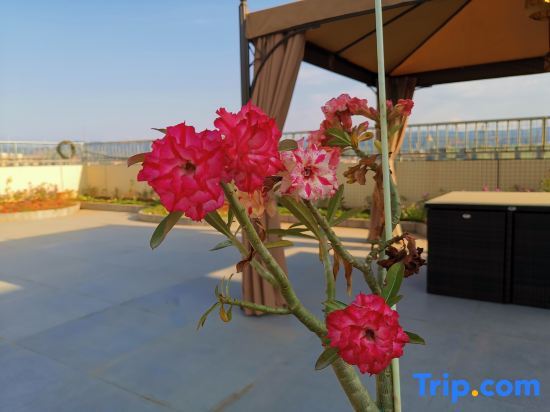 Цзинхун: Xishuangbanna Rainforest Flower Valley Hotel (Gasa International Airport)